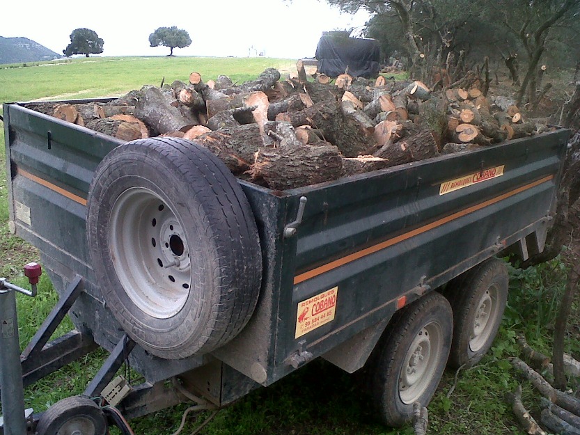 leña para chimeneas