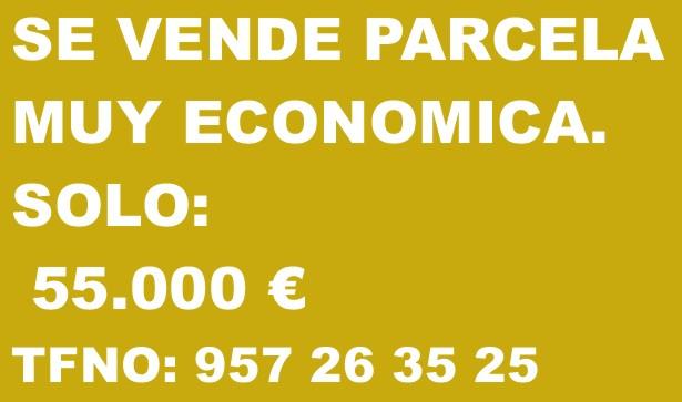 VENTA DE PARCELA EN VILLAFRANCA CORDOBA