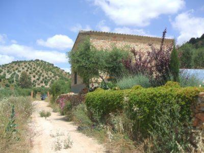 FICA RUSTICA EN EL ENTORNO DE LA VIA VERDE EN CORIPE (SEVILLA)