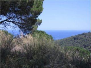 Terreno/Finca Rstica en venta en Begur, Girona (Costa Brava)