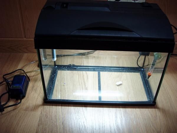 vendo acuario con peces