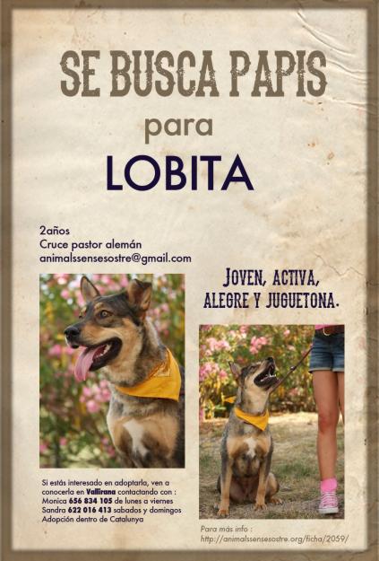 Adopcion Lobita (cruce pastor alemàn)