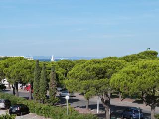 Estudio : 2/3 personas - piscina - junto al mar - vistas a mar - port camargue  gard  languedoc-rosellon  francia