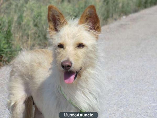 Pepa, 7 años, toda su vida en la calle, busca adoptante