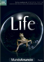 ENVIO GRATUITO.  DVD DE LA SERIE LIFE DE LA BBC EARTH. Nº2 PECES.