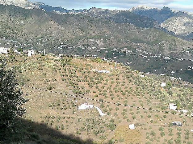 Cortijo en Torrox