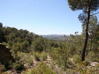 Terreno/Finca Rstica en venta en Ibiza/Eivissa, Ibiza (Balearic Islands)