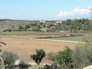 Casa en venta en Petra, Mallorca (Balearic Islands)