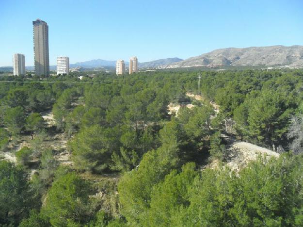 Piso en Benidorm