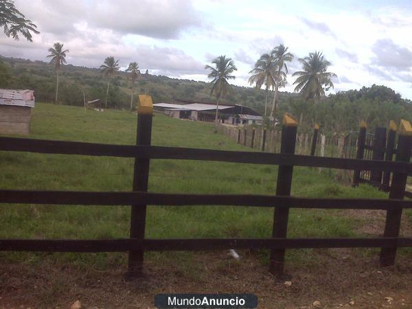 EN SANTO DOMINGO, REPUBLICA DOMINICANA, VENDO PRECIOSA FINCA GANADERA