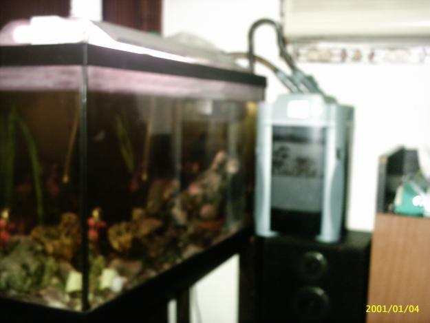 acuario completo se vende