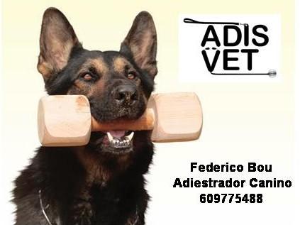 ADIESTRADOR CANINO A DOMICILIO EN BARCELONA PROVINCIA