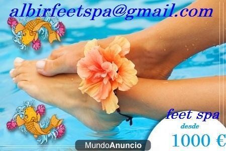 SISTEMAS ICTIOTERAPIA FEET SPAS GARRA RUFA desde 1000 €