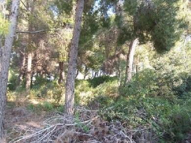 Terreno se vende en Moraira, Costa Blanca