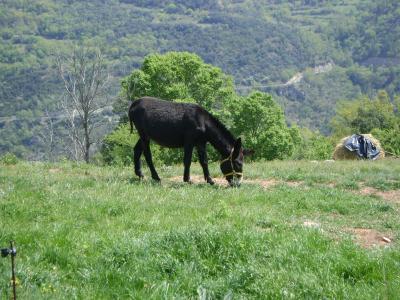 self catering for 9 to 15 peopl Nat Park