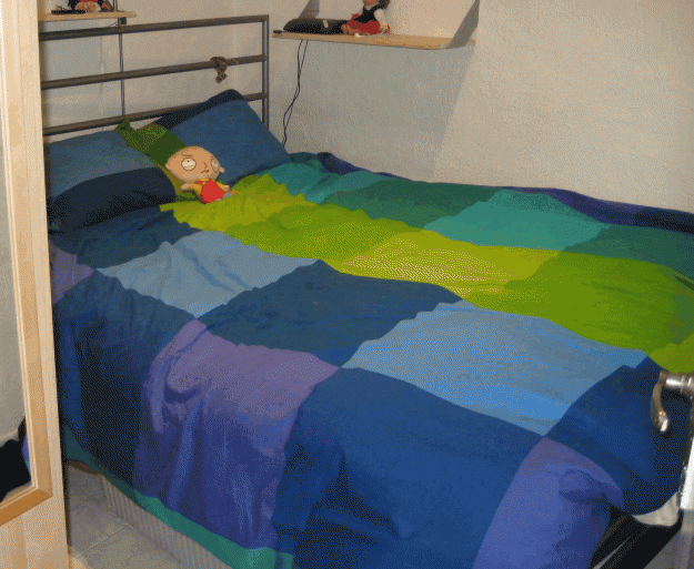 Vendo cama matrimonial con colchón y somier