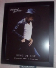 CUADRO MICHAEL JACKSONKING OF POP - mejor precio | unprecio.es