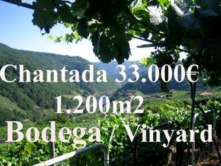 1b  , 1ba   in Chantada,  Galicia   - 25000  EUR