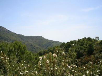 Terreno se vende en Benahavis, Costa del Sol