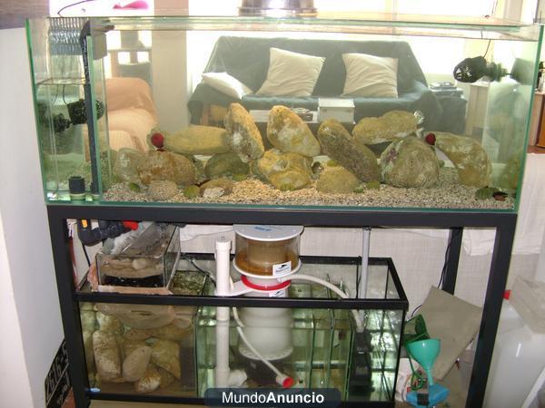 Acuario modelo SIROCCO agua salada