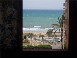 Estudio en venta en Arenales del Sol, Alicante (Costa Blanca)