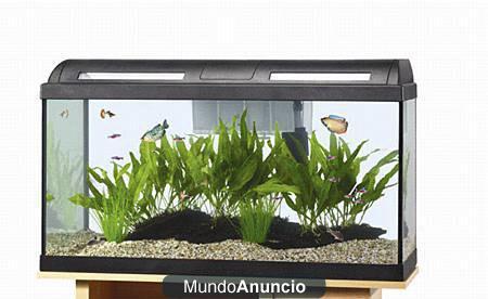 Acuario casi nuevo