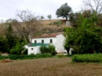 Casa de Campo con 3 dormitorios se vende en Ronda, Serrania de Ronda