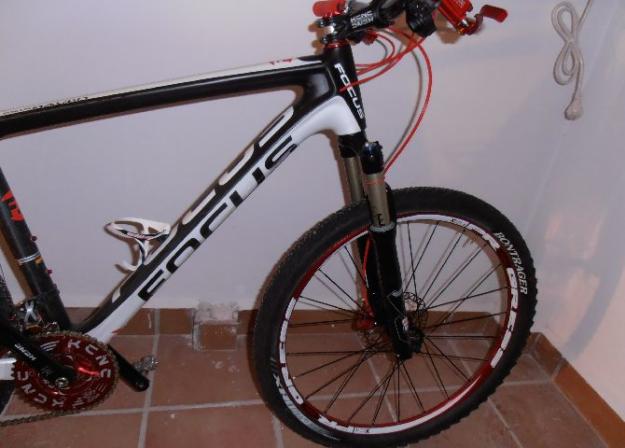 bicicleta de montaña focus raven carbono