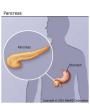 Avances en gastroenterología. Volumen 4. ---  Arán Ediciones, 1987, Madrid.