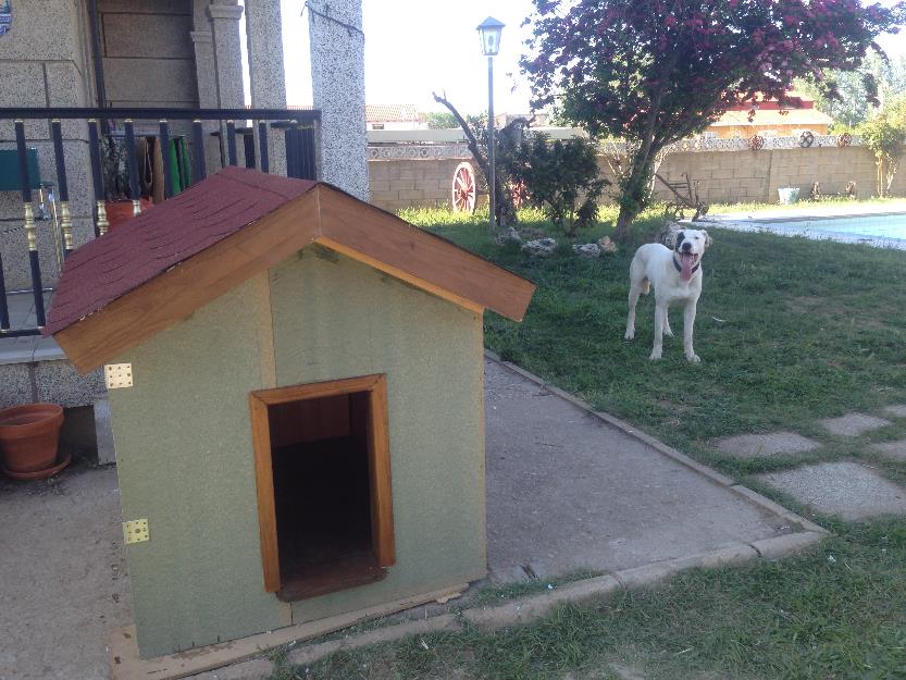 Casetas para perros aisladas