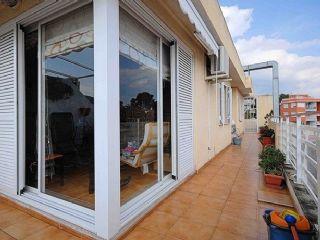 tico en venta en Palmanova, Mallorca (Balearic Islands)