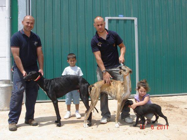 galgos de campo