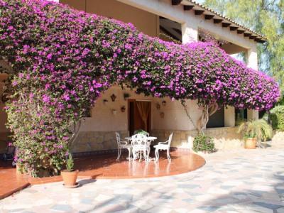 6b  , 5ba   in L'Alfas Del Pi,  Costa Blanca South   - 1200000  EUR