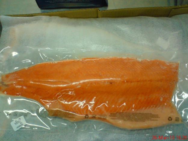 Venta de Merluza autral y Jurel y Salmon de chile