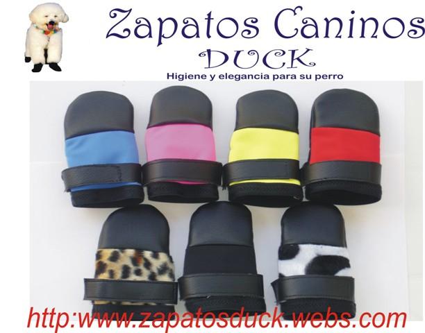 Zapatos para perros