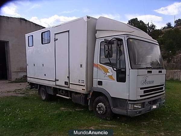 En venta camión Iveco para transporte de caballos