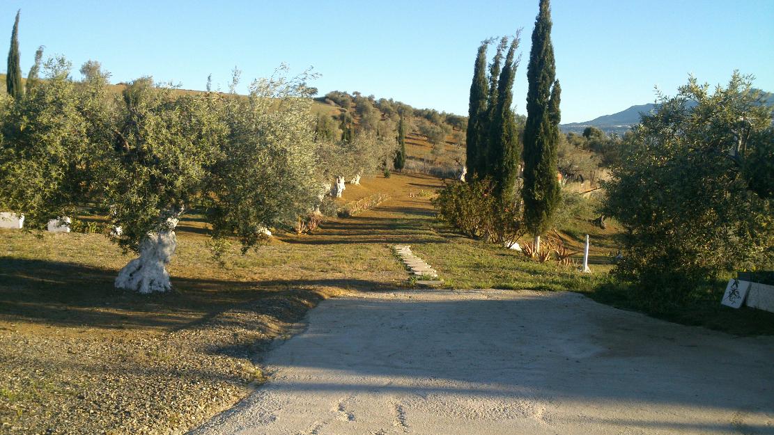 Venta de casa de campo en coin