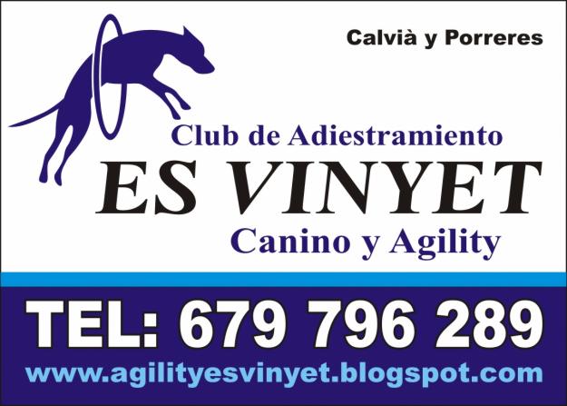 CLUB DE AGILITY Y ADIESTRAMIENTO CANINO ES VINYET