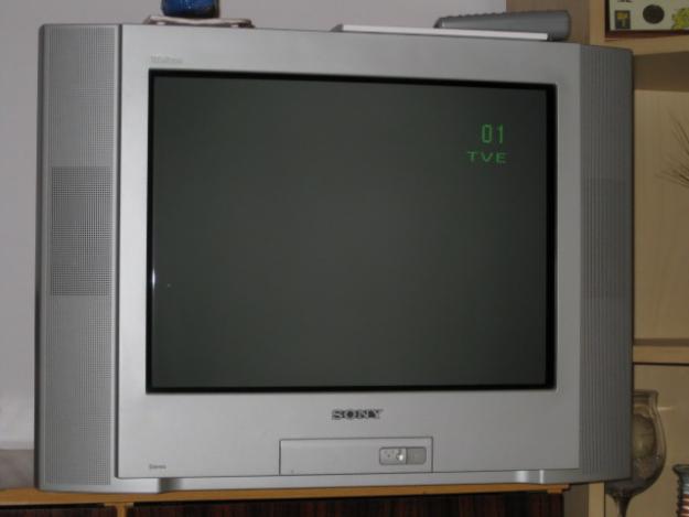 Mudanza: Televisor SONY Trinitron 21