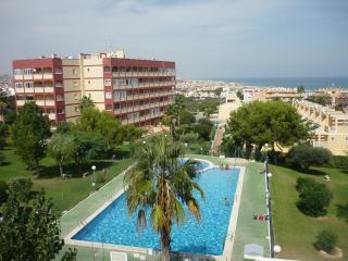 Apartamento en residencia : 4/6 personas - piscina - vistas a mar - torrevieja  alicante (provincia de)  comunidad valen