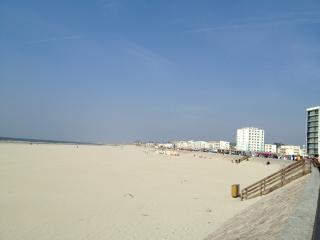 Estudio : 2/4 personas - junto al mar - berck-plage  paso de calais  norte-paso de calais  francia