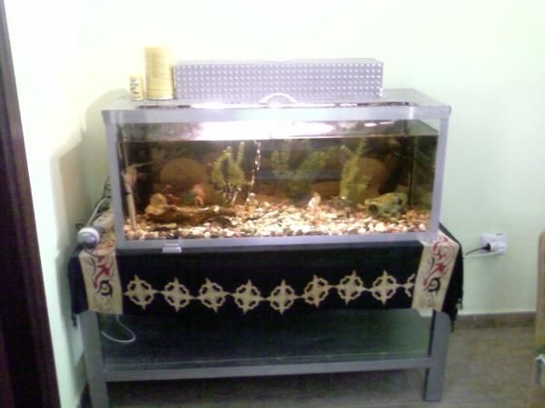 vendo acuario de 150 litros