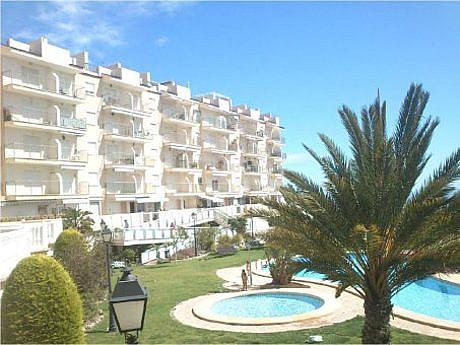 Apartamento en Campello (el)