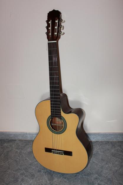 Vendo guitarra acústica con todo