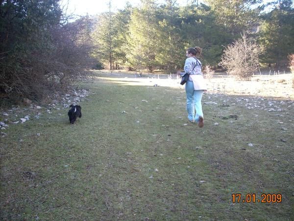 paseadores de perros