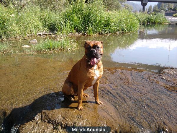 busco novia para ruffo