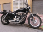 HARLEY 1200- 07 - mejor precio | unprecio.es