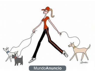 ***DOG WALKER & PET SITTING***