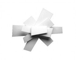 Foscarini Big Bang aplique/plafón - Blanco - iLamparas.com