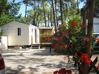 Mobilhome : 4/6 personas - piscina - saint jean de monts  vendee  paises del loira  francia